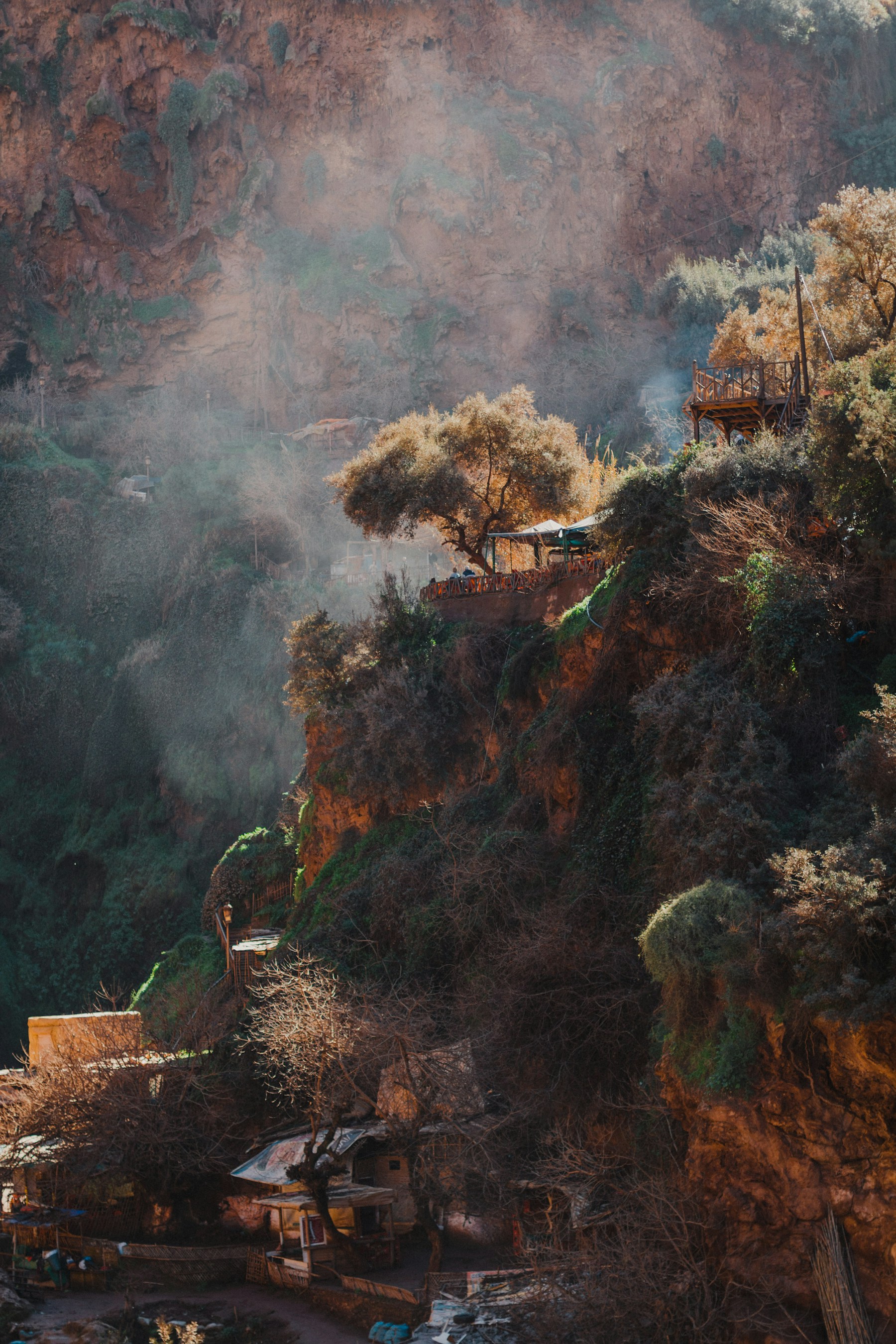 Garden after Rain 상세 1